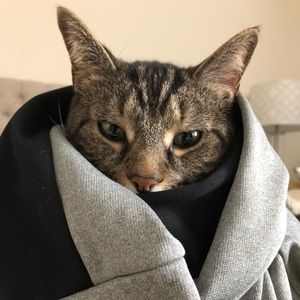 Meet your Posher, Jaime